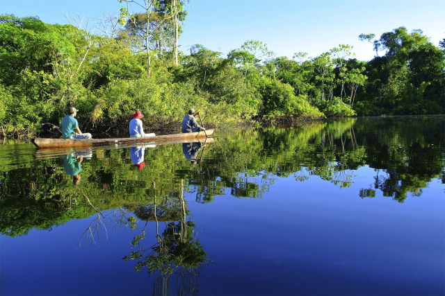 selva peruana2