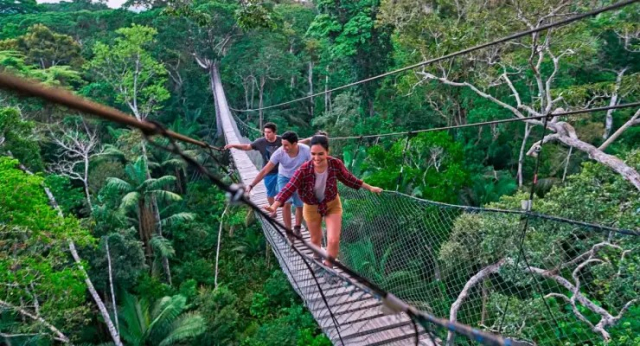 selva peruana4