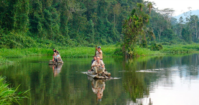 selva peruana6