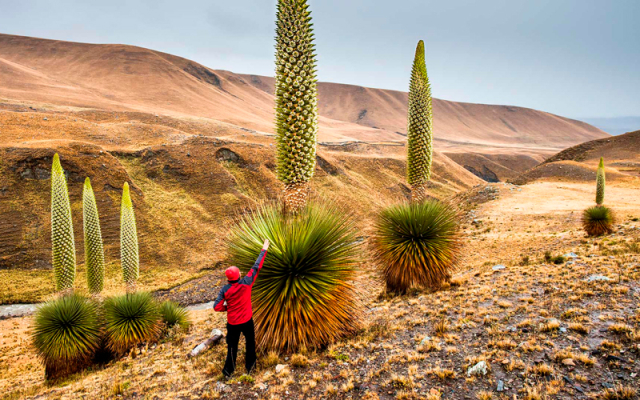 cañon cotahuasi peru5
