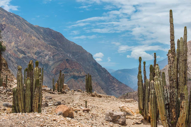 cañon cotahuasi peru6