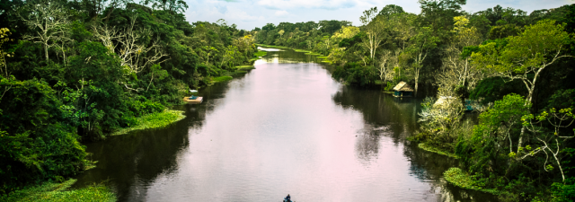 reserva nacional pacaya samiria 7