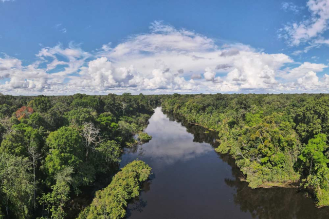 Explorando la Reserva Nacional Pacaya Samiria: un tour por la selva inundada